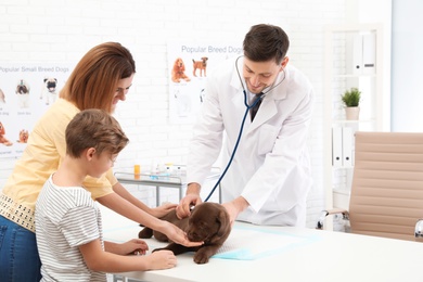 Photo of Mother and son with their pet visiting veterinarian in clinic. Doc examining Labrador puppy