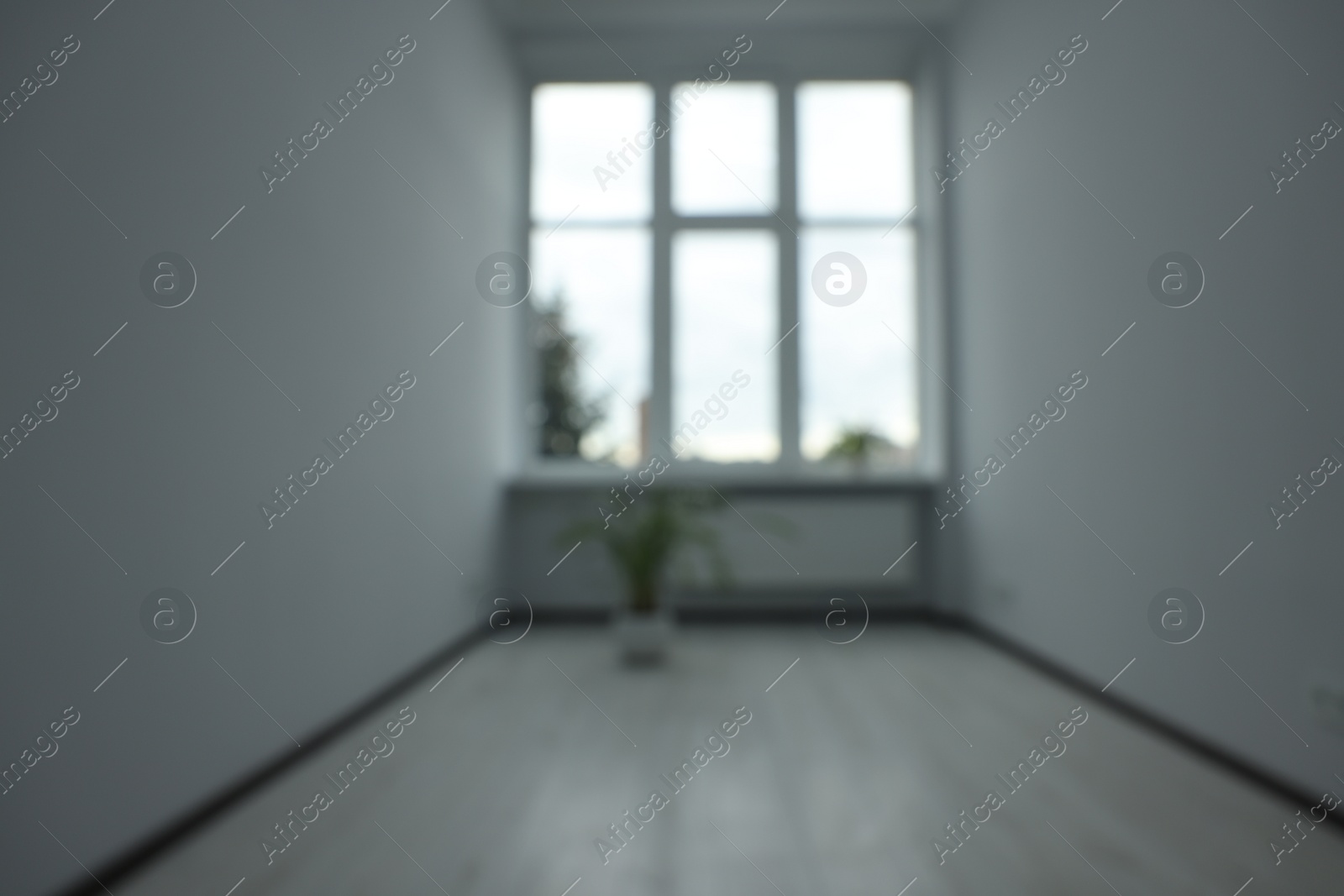 Photo of Blurred view of empty office room with windows and potted houseplants