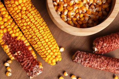 Delicious ripe corn cobs and bowl with seeds on wooden table, flat lay