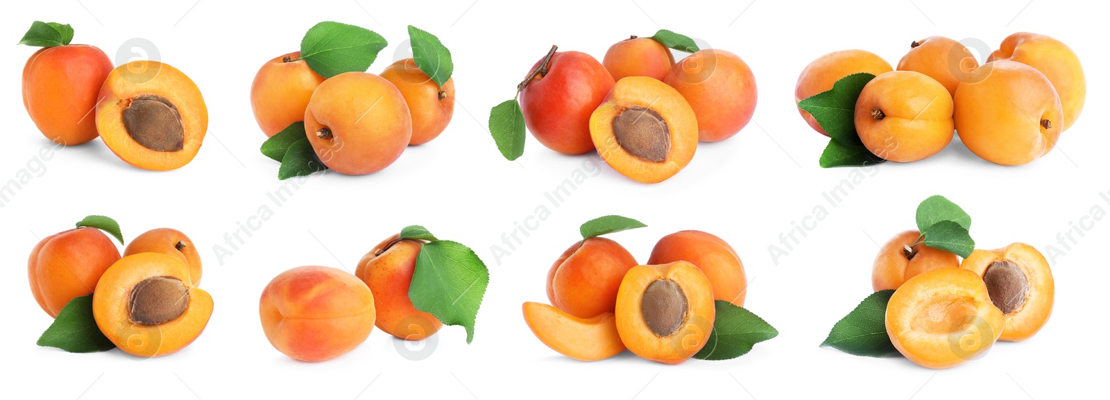 Image of Set of fresh apricots on white background. Banner design