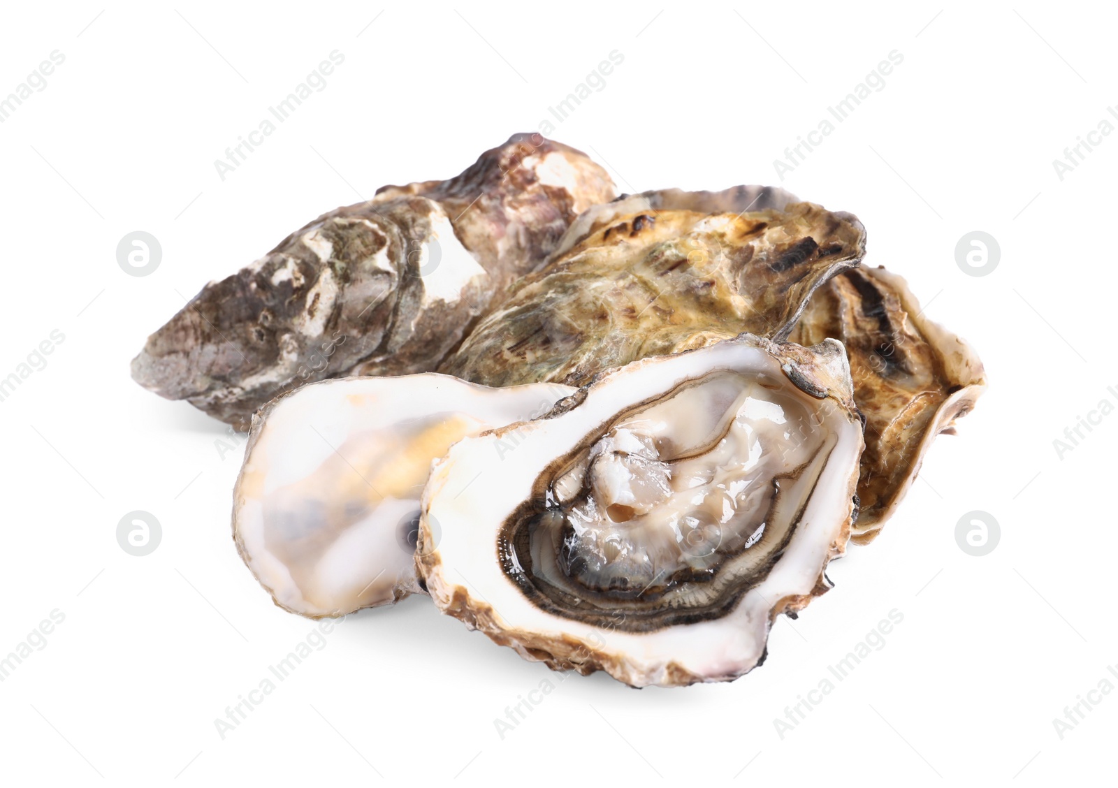 Photo of Fresh raw closed and open oysters on white background