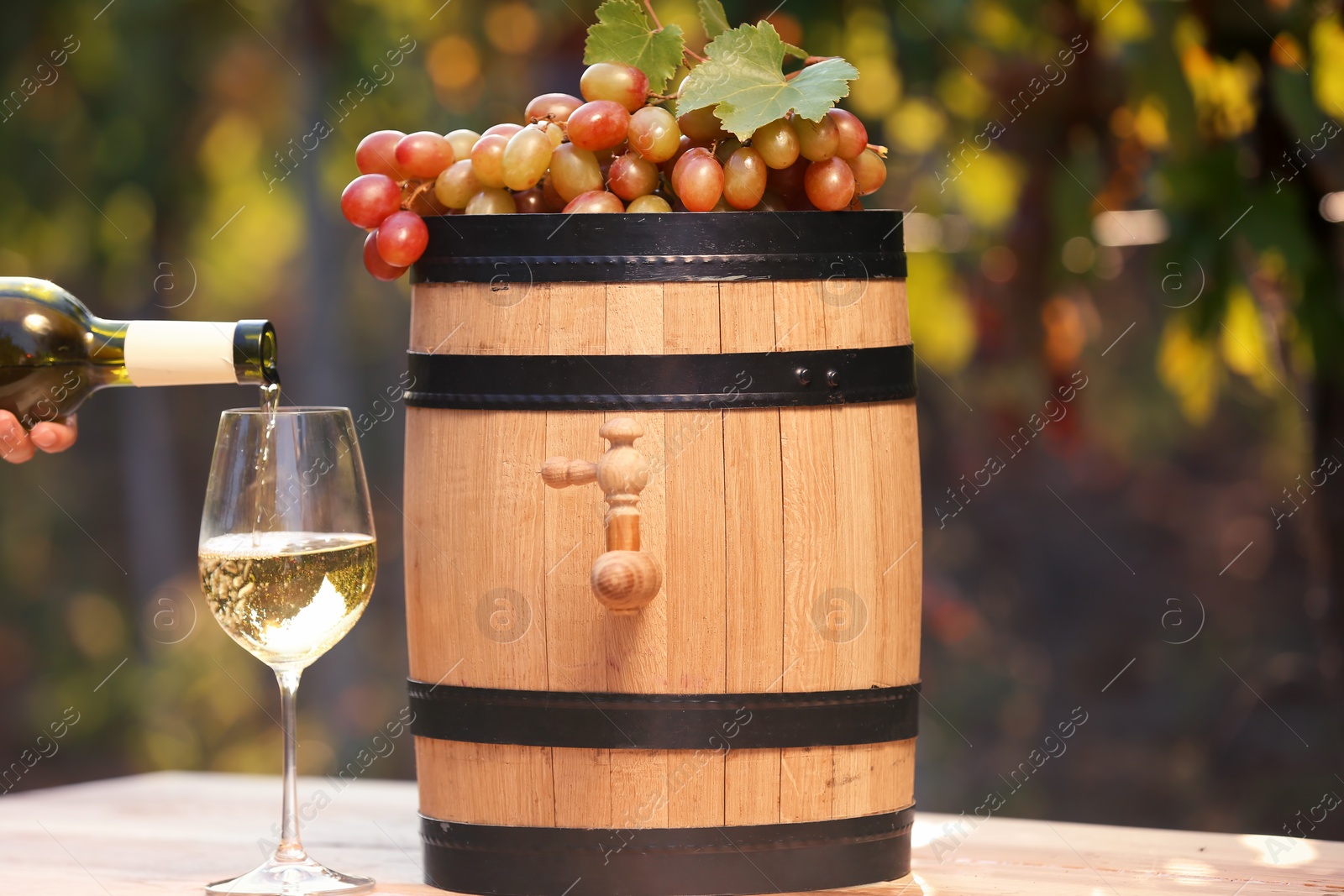 Photo of Woman pouring white wine into glass on table outdoors. Space for text