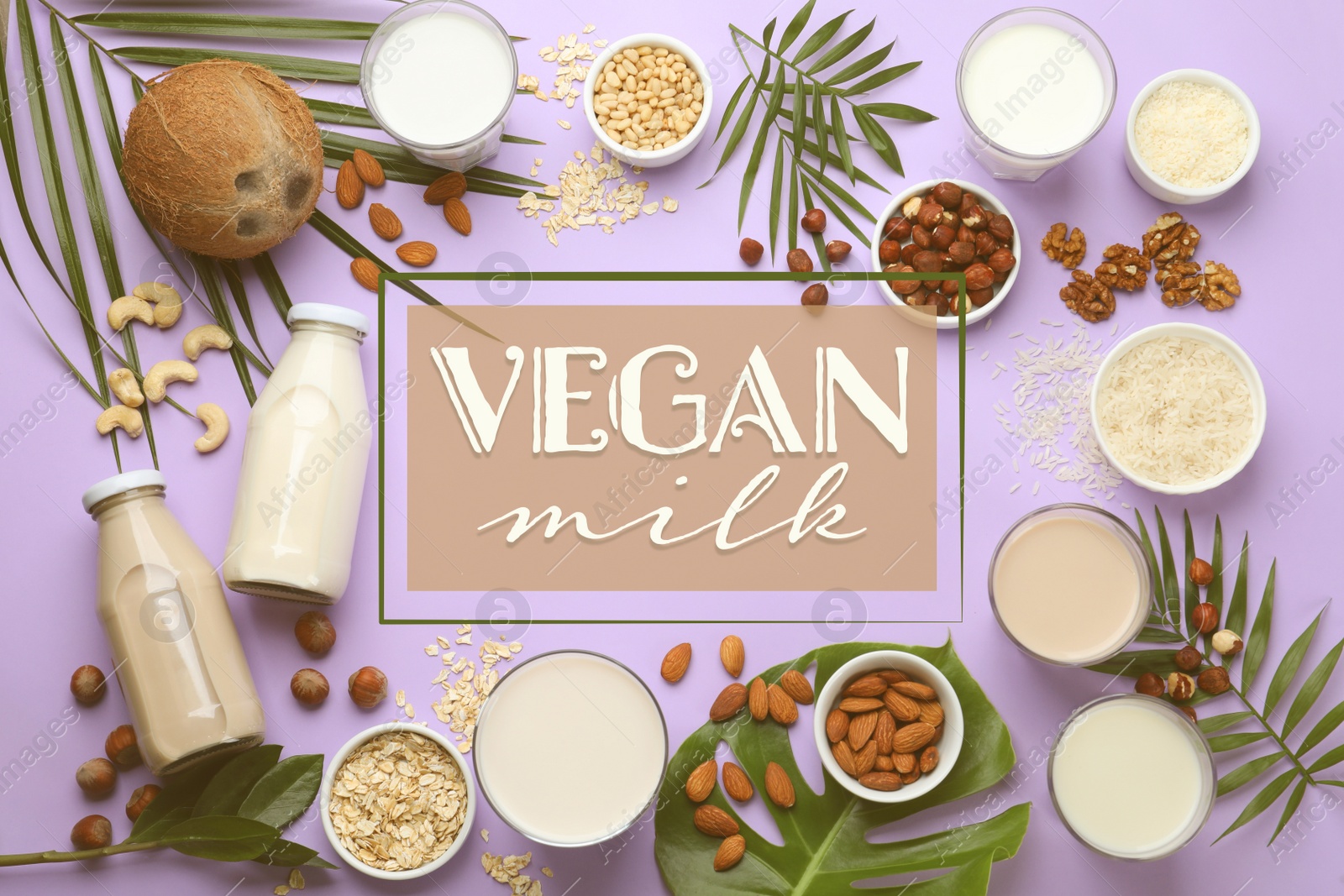 Image of Frame of different organic vegan milks and ingredients on violet background, flat lay