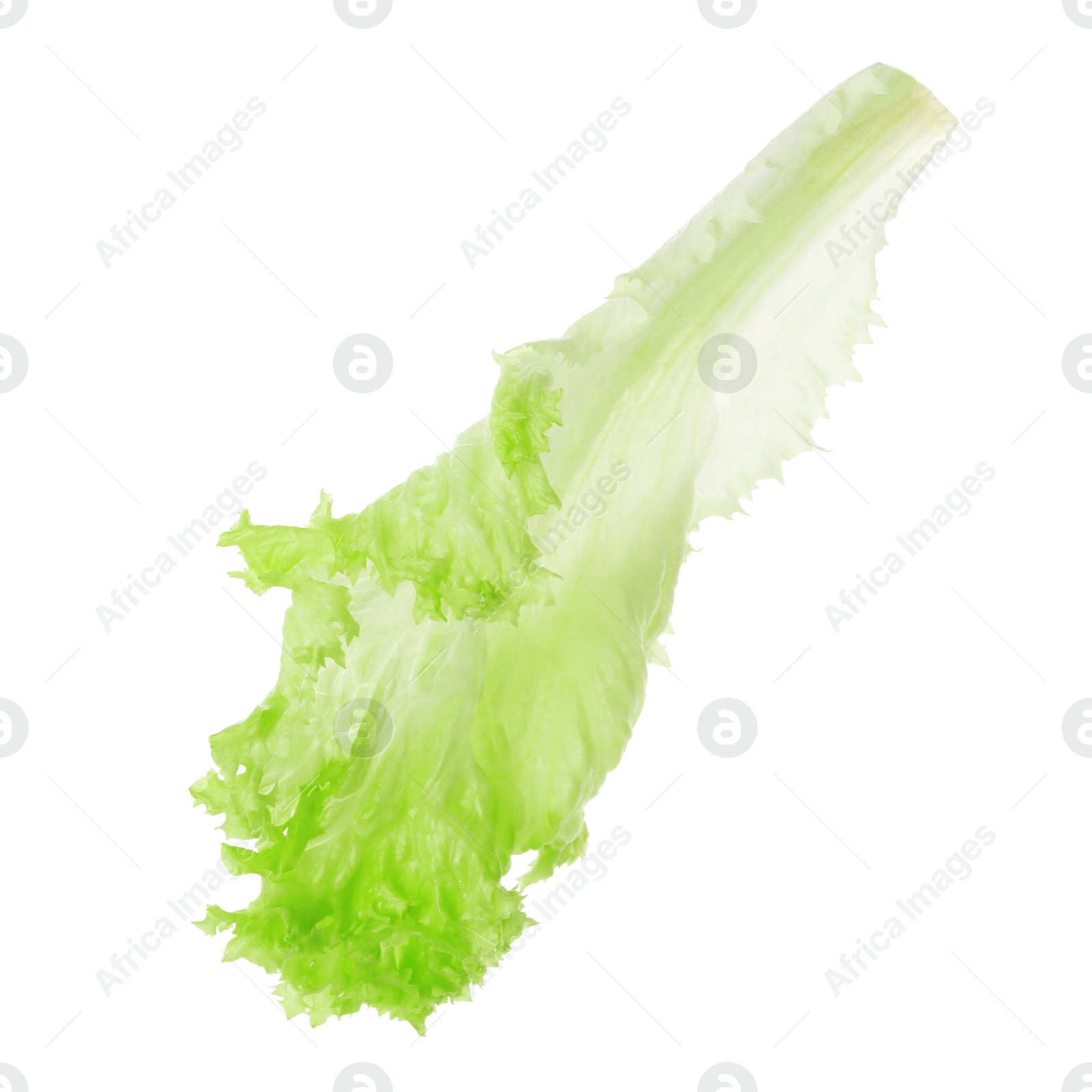 Photo of Fresh green lettuce leaf isolated on white