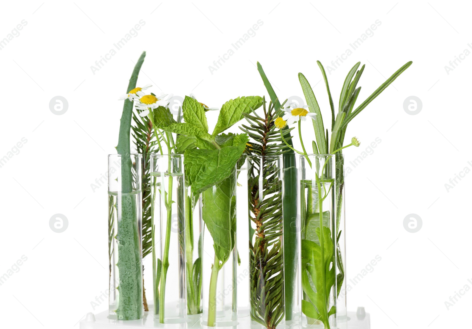 Photo of Test tubes of different essential oils with plants on white background