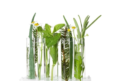 Photo of Test tubes of different essential oils with plants on white background