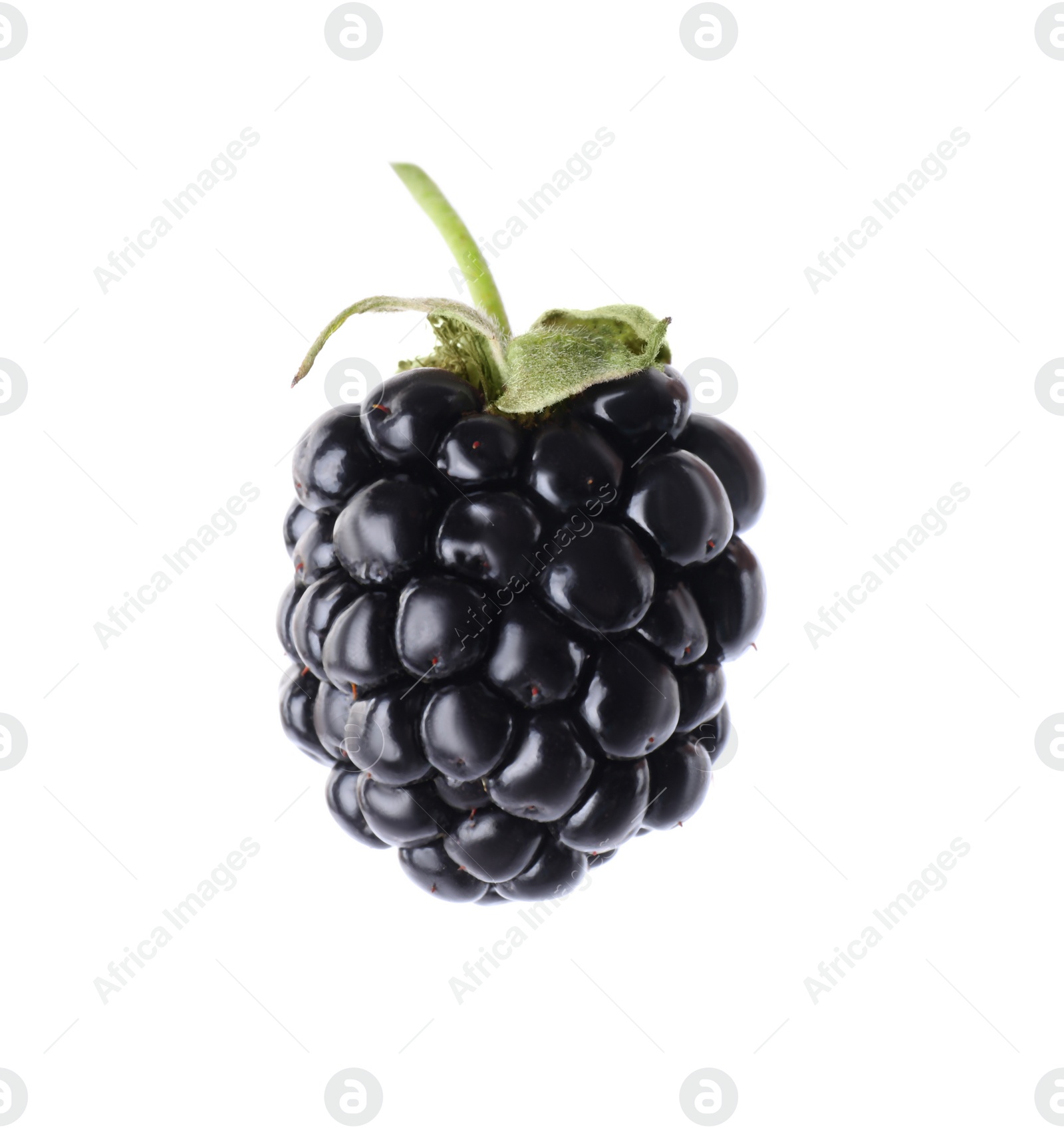 Photo of Delicious fresh ripe blackberry isolated on white