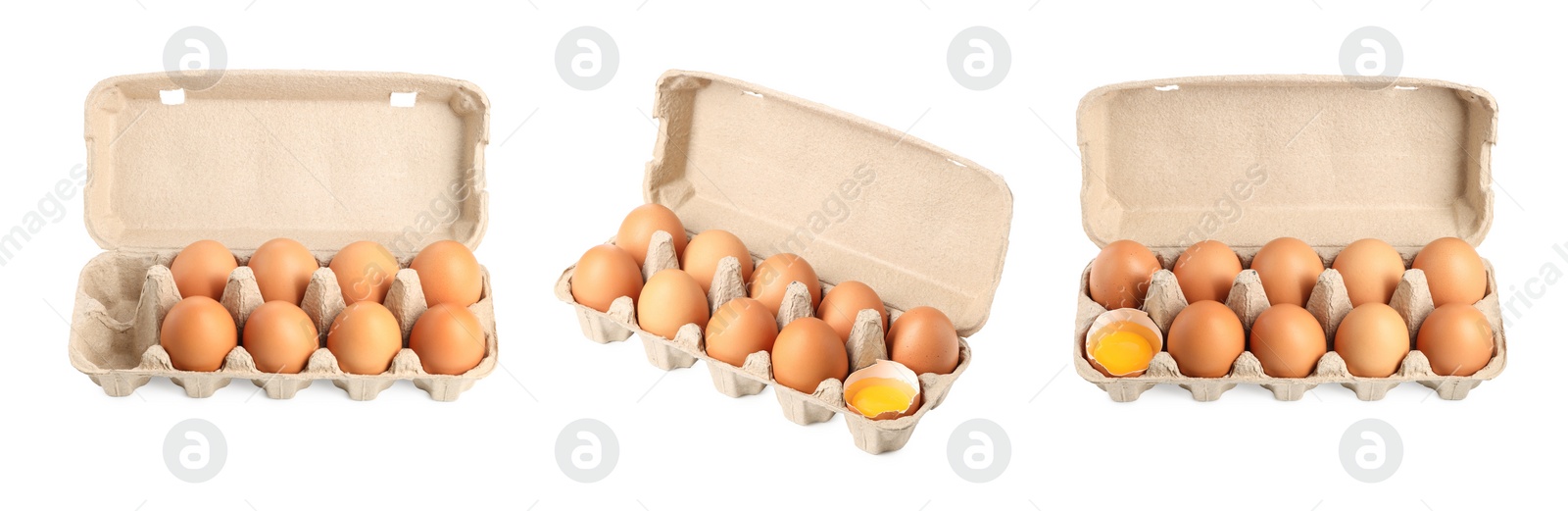 Image of Brown chicken eggs in egg cartons isolated on white, set