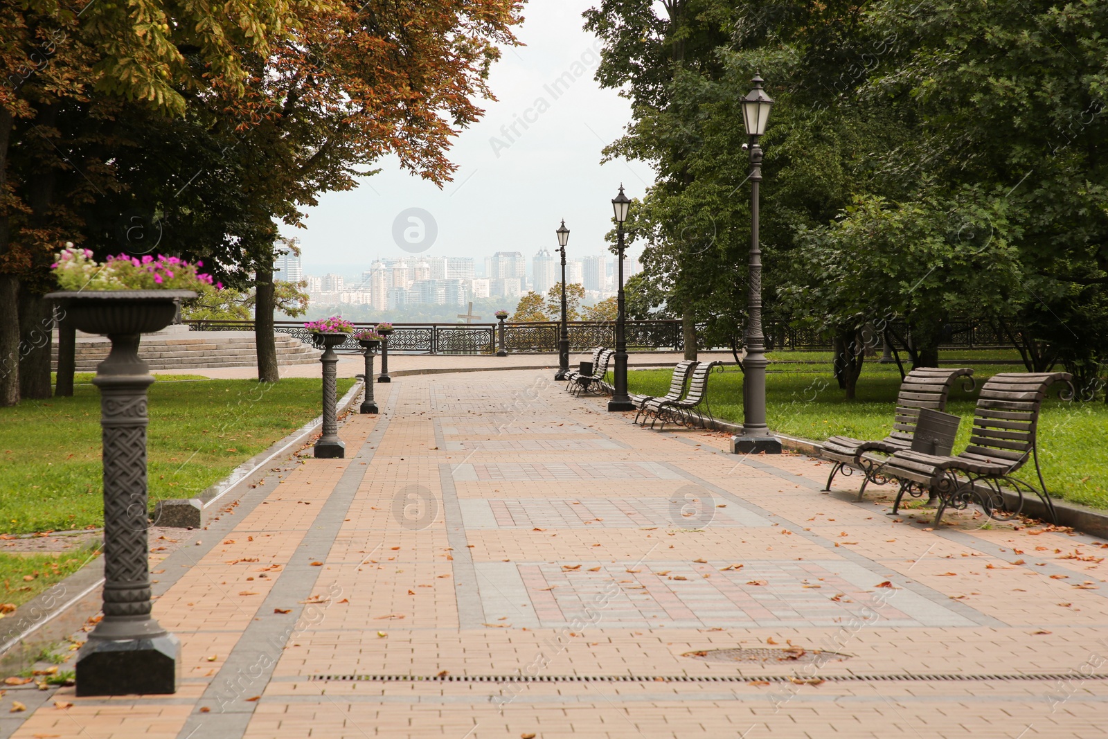 Photo of Quiet green park with beautiful trees and paved pathway on autumn day