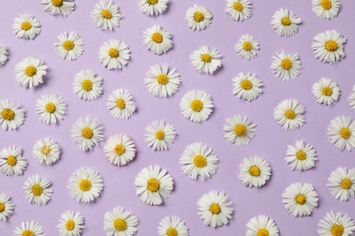 Photo of Many beautiful daisy flowers on lilac background, flat lay