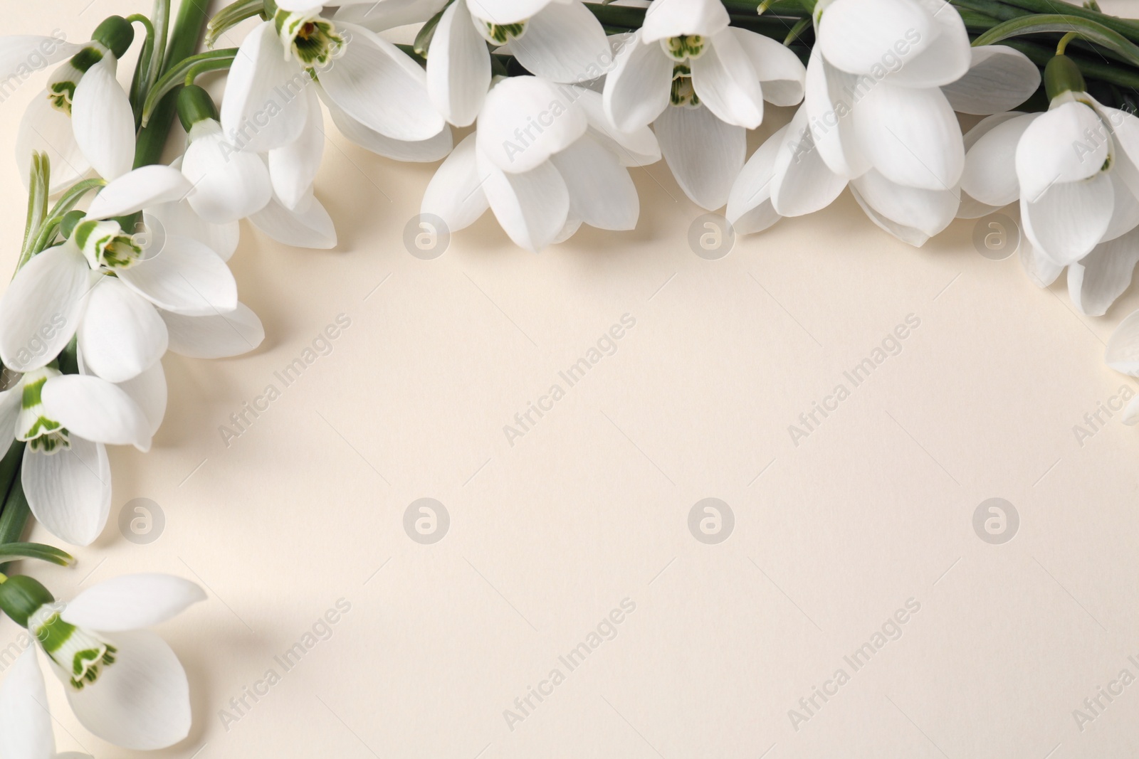 Photo of Beautiful snowdrops on beige background, closeup. Space for text