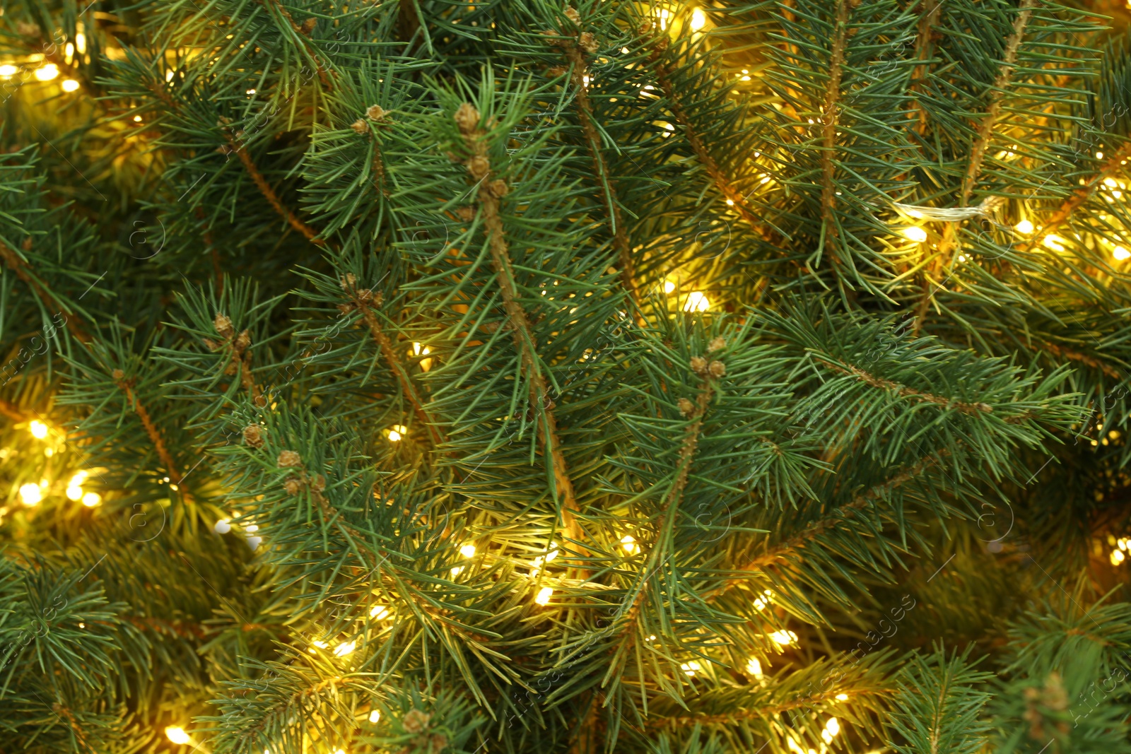 Photo of Glowing bright fairy lights on Christmas tree