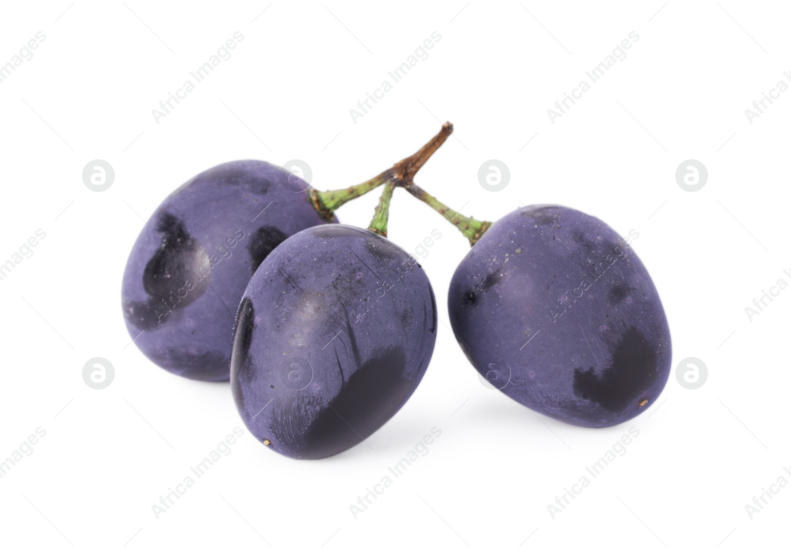 Photo of Delicious ripe dark blue grapes isolated on white