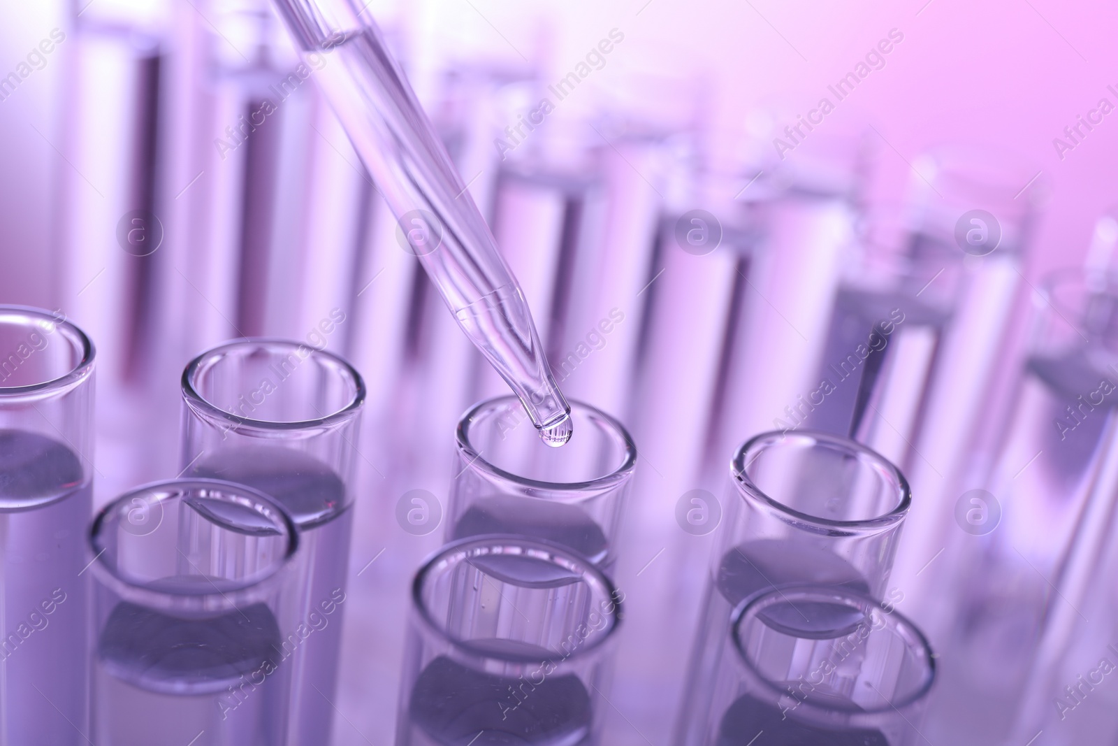 Photo of Dripping liquid from pipette into test tube on violet background, closeup