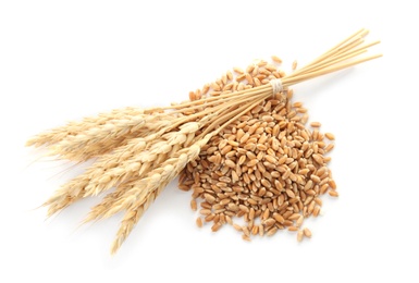 Wheat grains with spikelets on white background