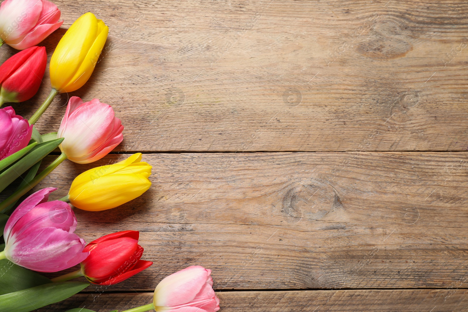 Photo of Beautiful colorful tulip flowers on wooden table, flat lay. Space for text