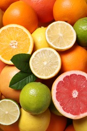 Photo of Different fresh citrus fruits and leaves as background, top view