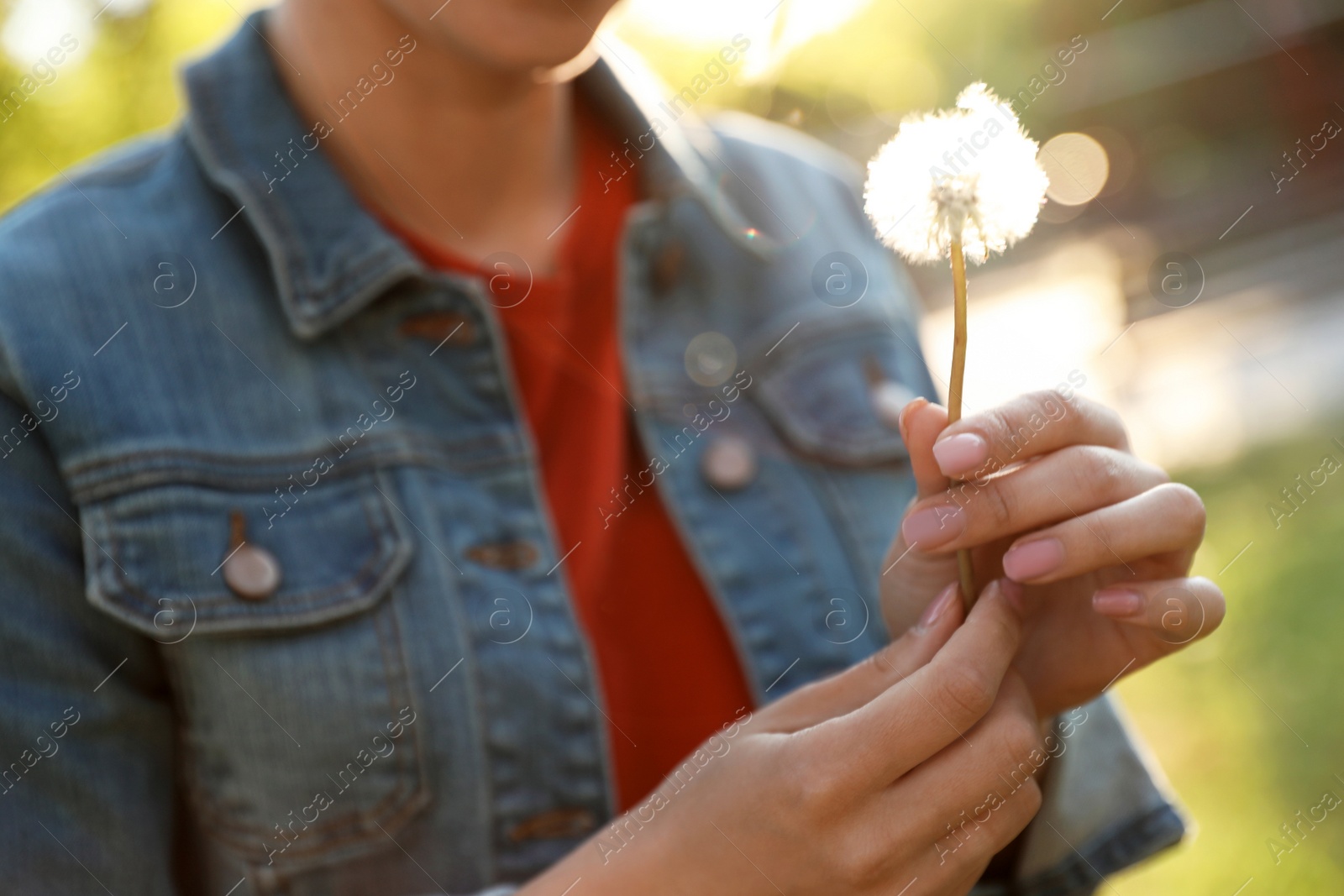 Photo of Young woman with dandelion in park on sunny day, closeup. Allergy free concept