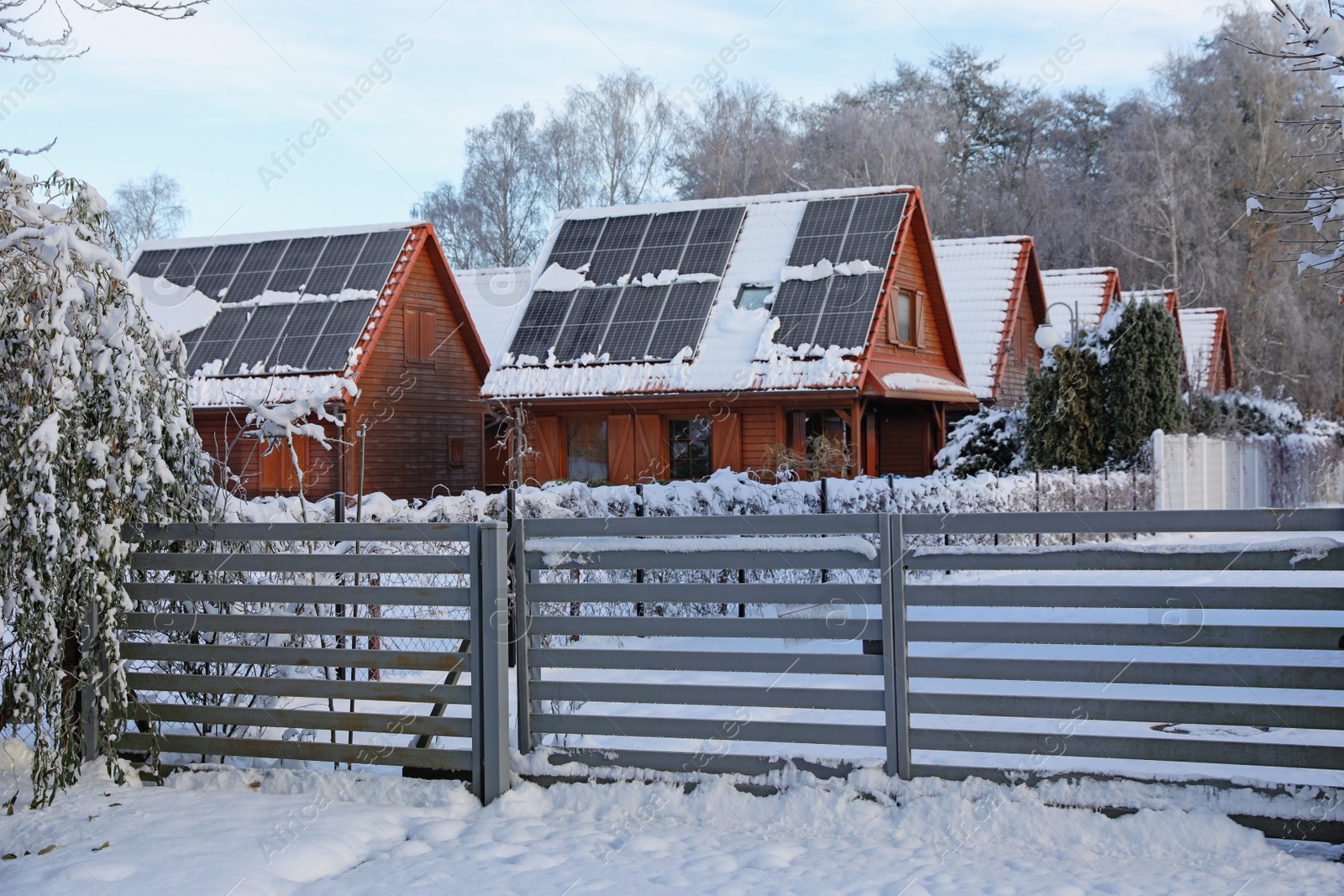 Photo of Winter landscape with beautiful houses, trees and bushes in morning