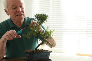 Photo of Senior man taking care of Japanese bonsai plant indoors, space for text. Creating zen atmosphere at home