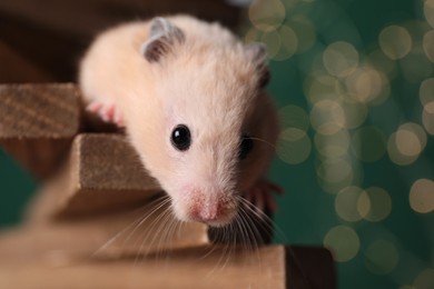Photo of Cute little hamster on tiny wooden steps against blurred lights, closeup
