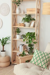 Photo of Stylish room interior with beautiful house plants. Home design idea