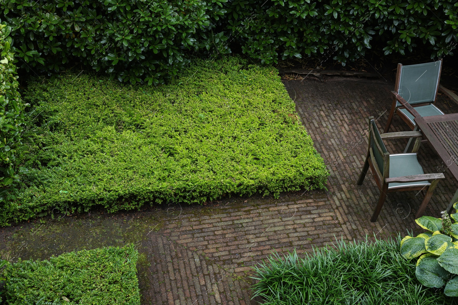 Photo of Cozy yard with patio furniture and green shrubbery, above view