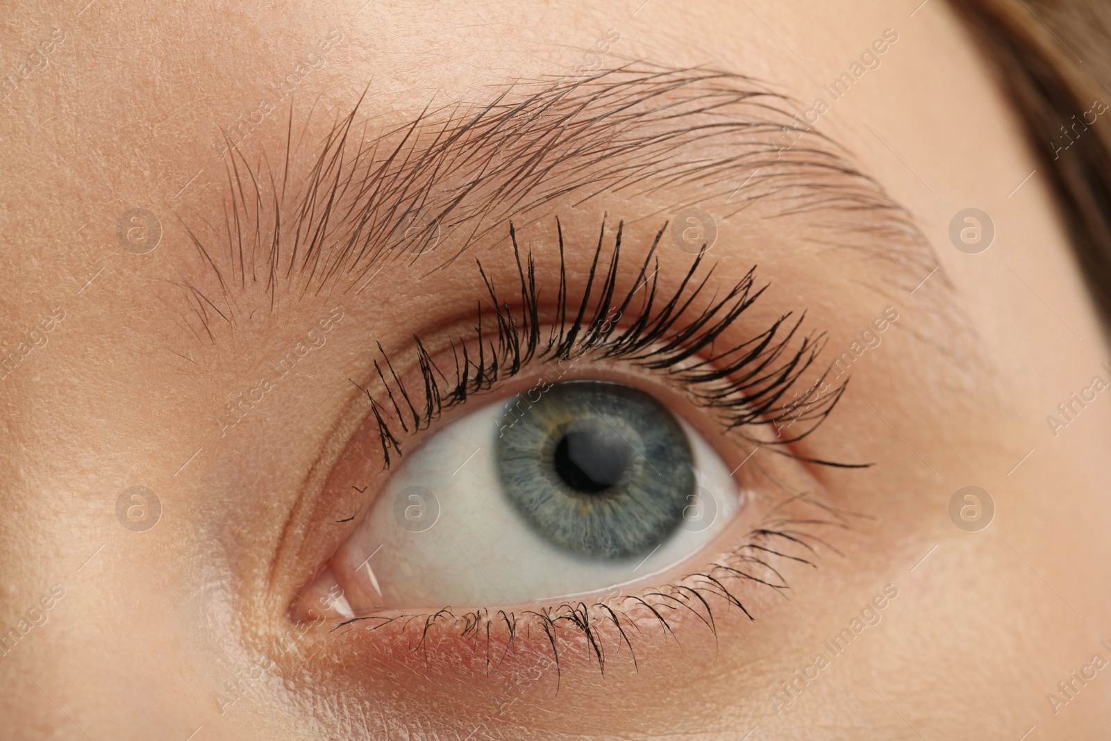 Photo of Woman with long eyelashes after mascara applying, closeup