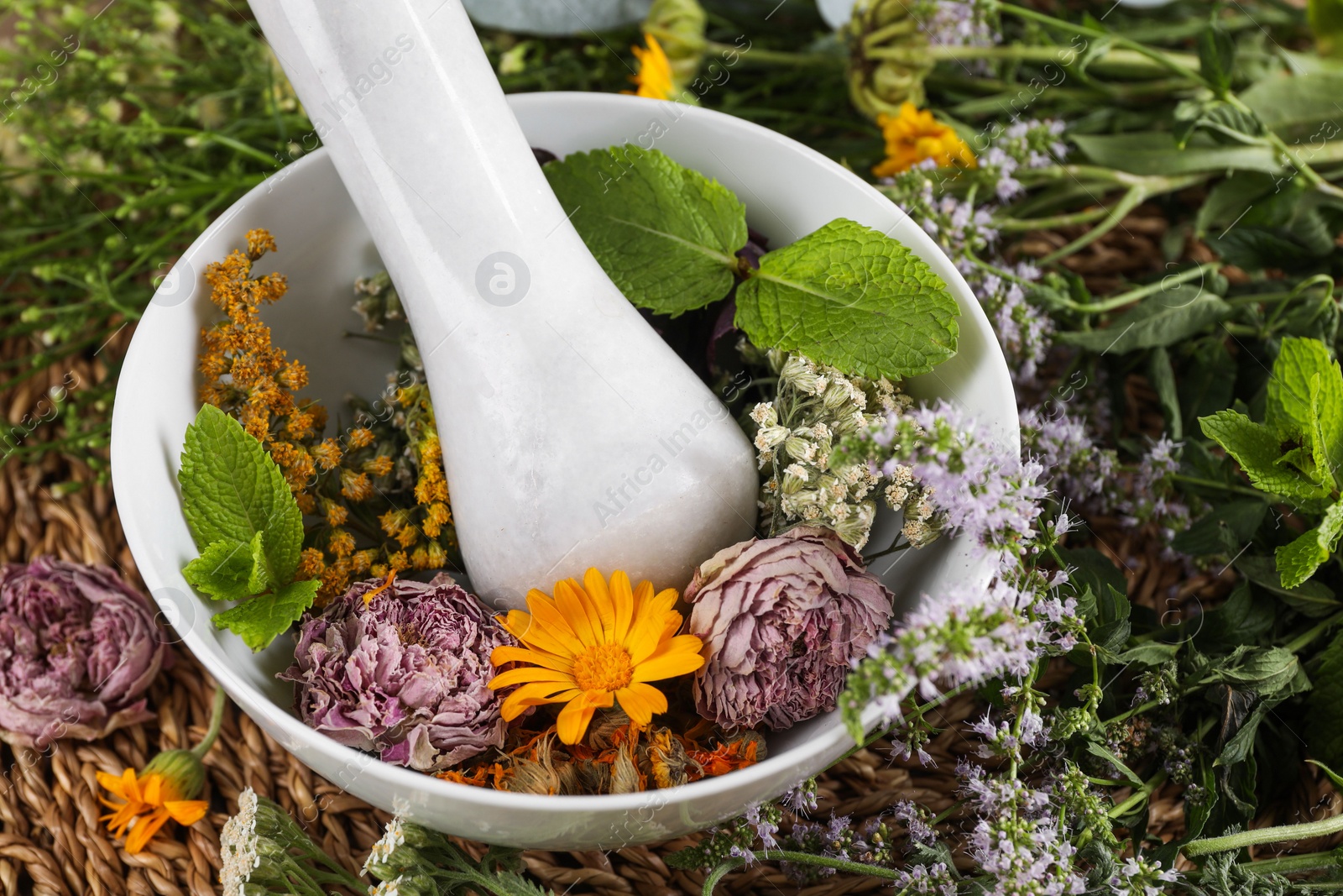 Photo of Mortar with pestle and many different herbs on table, closeup