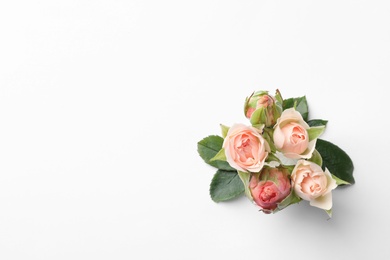 Beautiful roses and space for text on white background, top view