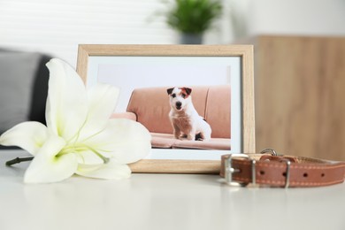Photo of Frame with picture of dog, collar and lily flower on white table indoors. Pet funeral