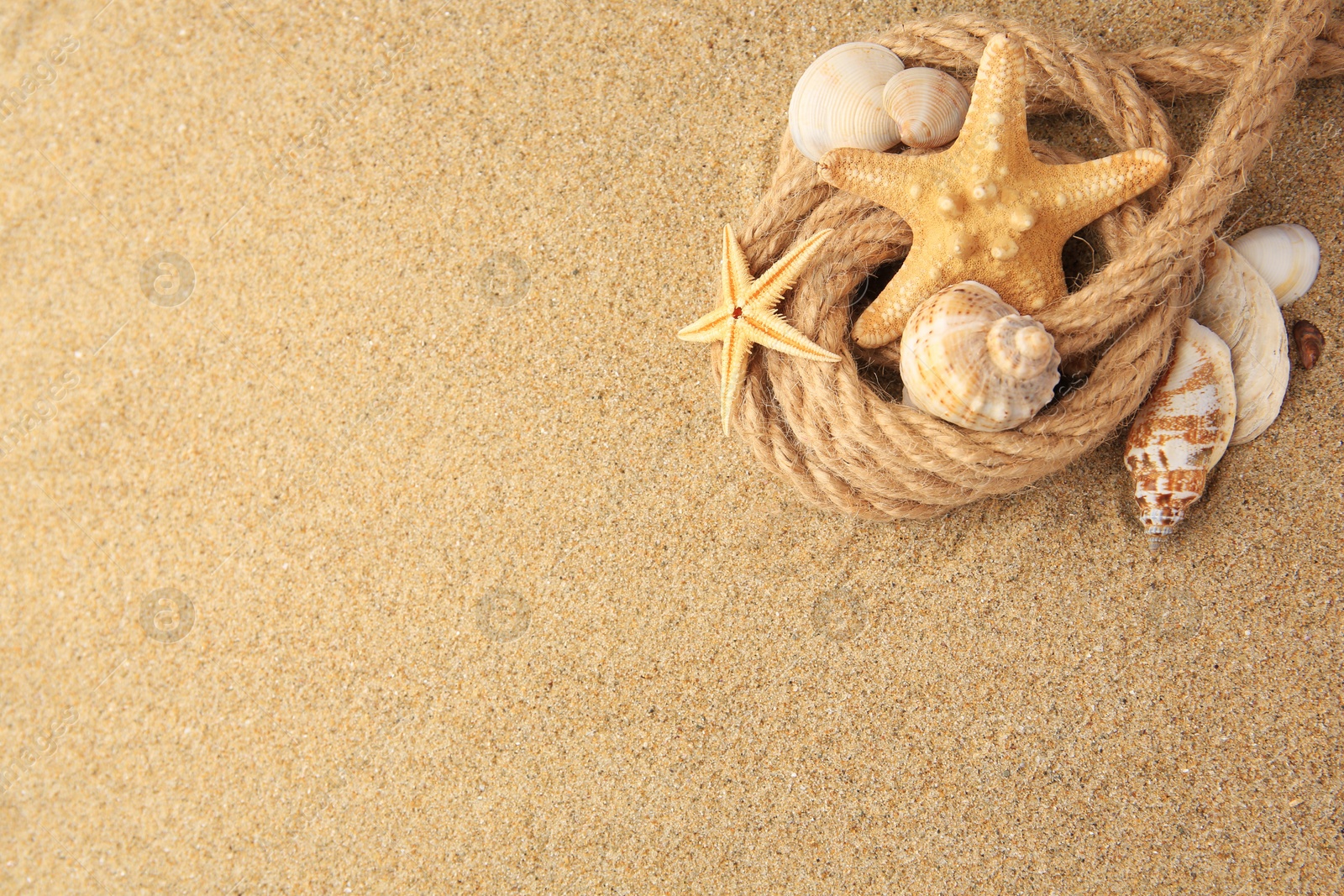 Photo of Beautiful sea stars, shells and rope on sand, flat lay. Space for text