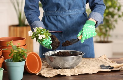 Photo of Woman transplanting houseplants into flower pots at wooden table indoors, closeup