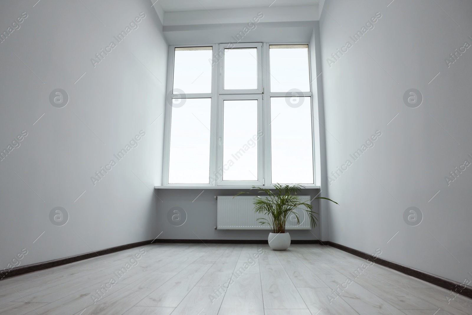 Photo of Empty office room with windows and potted houseplants