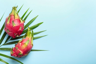 Photo of Delicious pitahaya fruits with palm leaf on turquoise background, flat lay. Space for text
