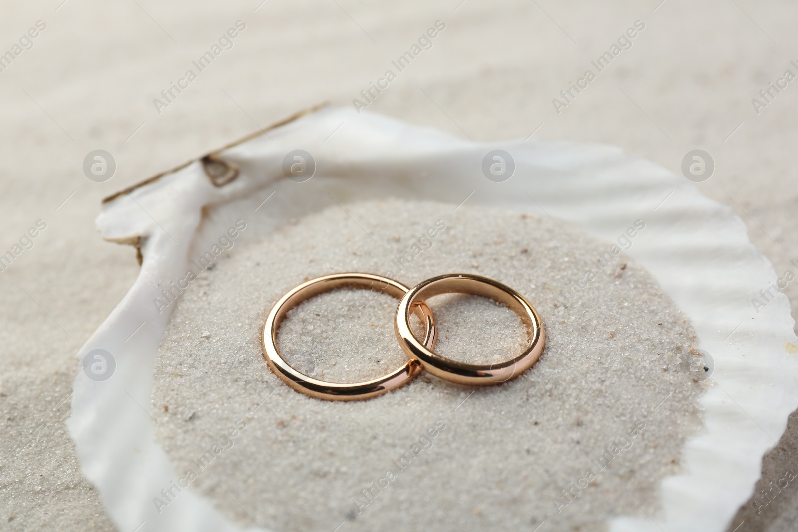 Photo of Honeymoon concept. Two golden rings and shell on sand, closeup