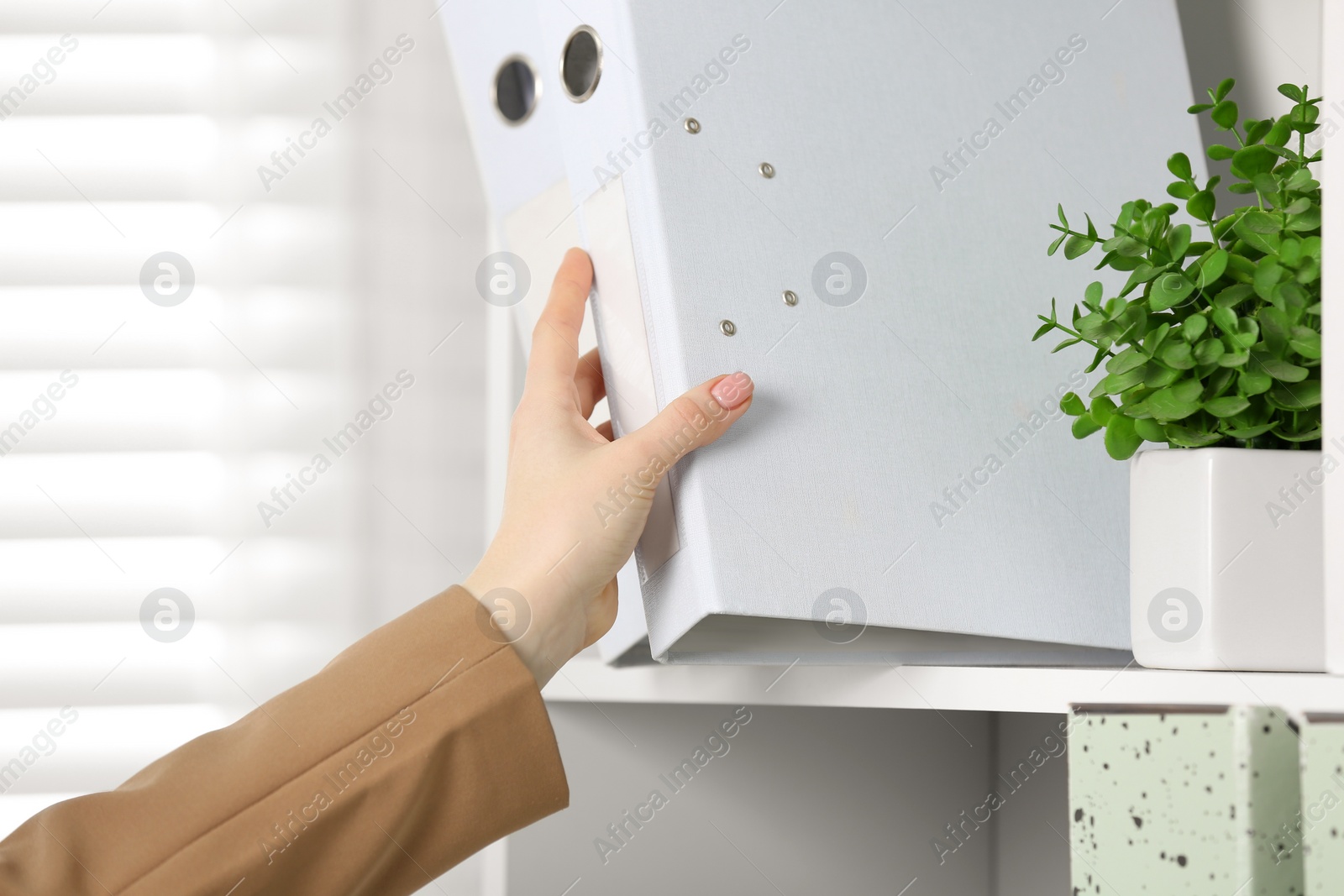 Photo of Woman taking folder with documents from shelf in office, closeup