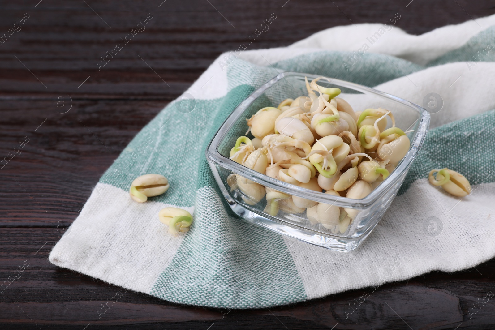 Photo of Sprouted kidney beans on dark wooden table, closeup. Space for text