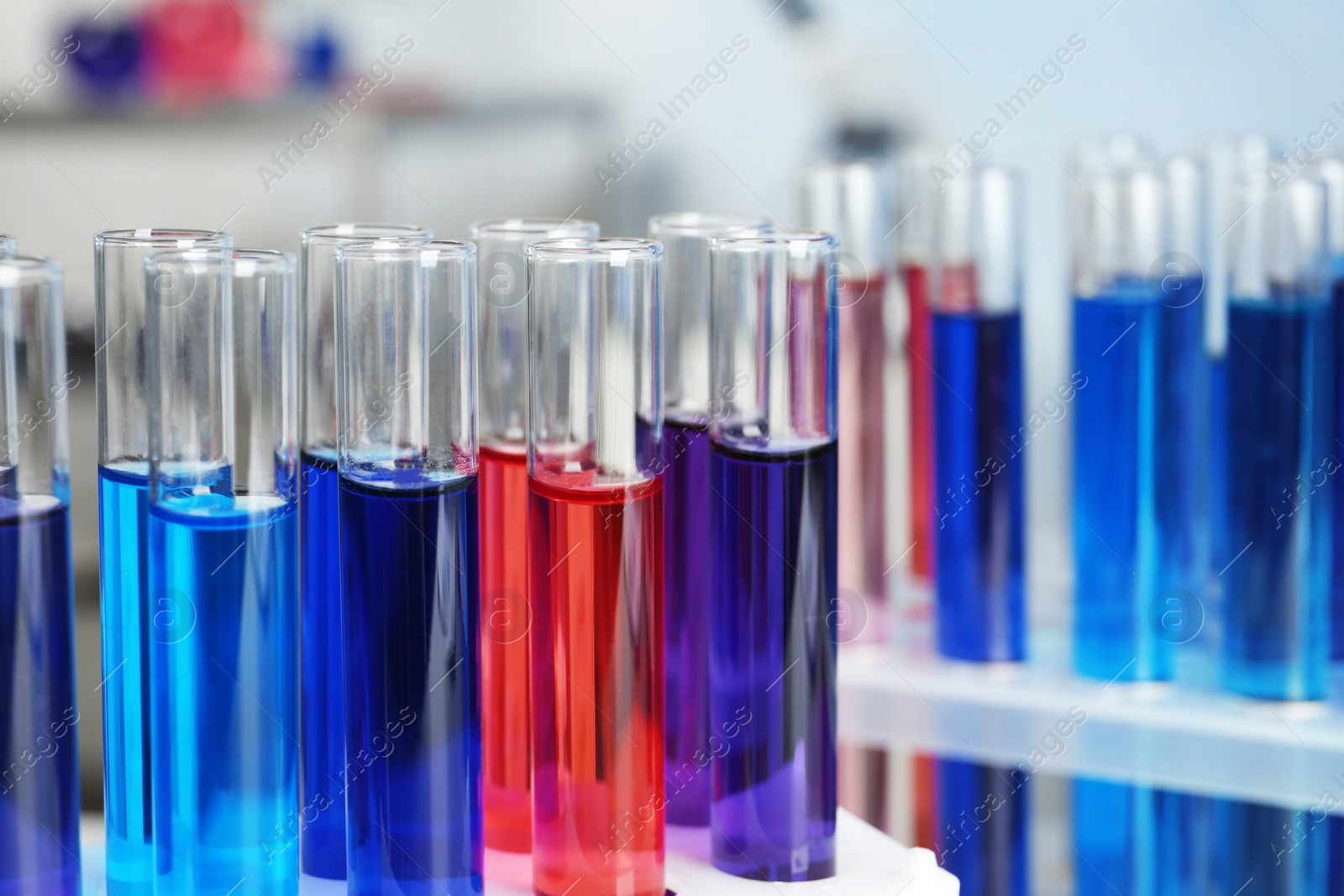 Photo of Test tubes with samples in chemistry laboratory, closeup. Space for text