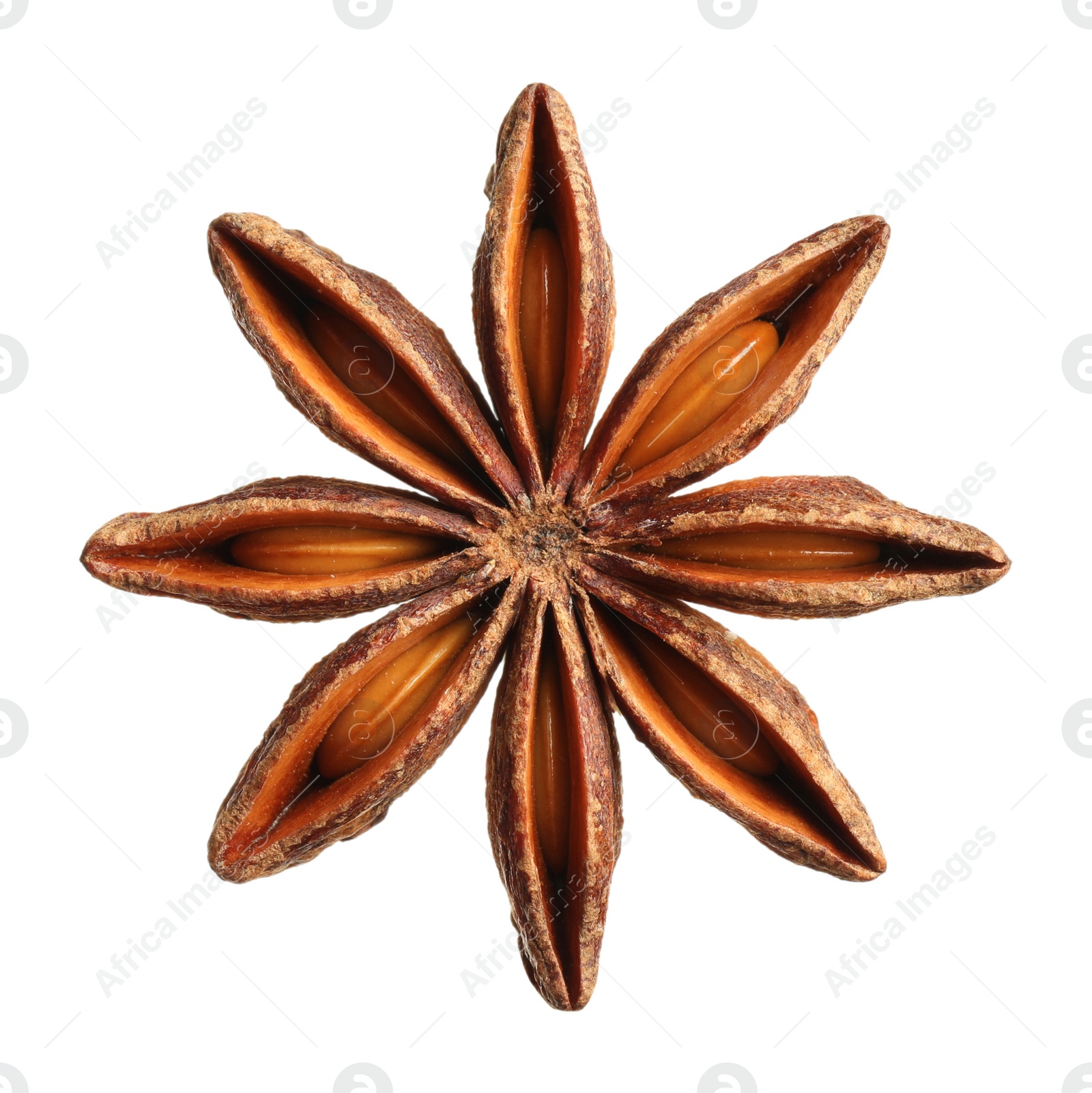 Image of Aromatic dry anise star isolated on white