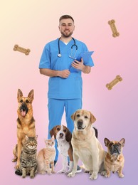 Image of Collage with photos of veterinarian doc, pets and dog cookies on color background