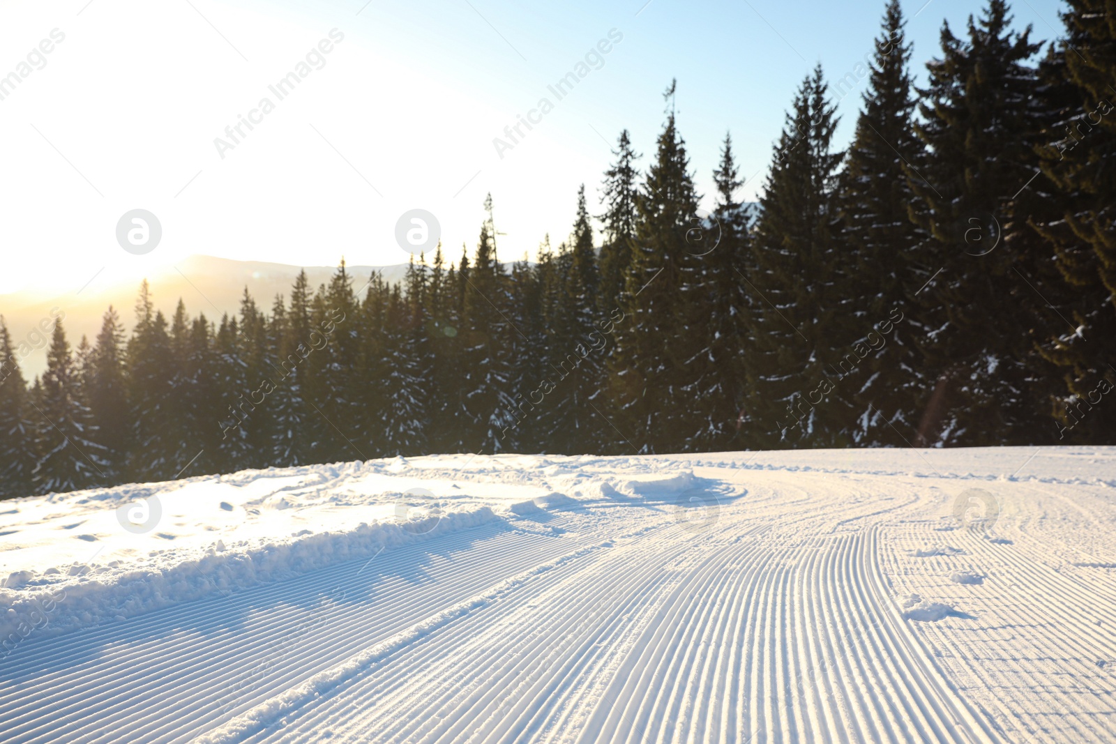 Photo of Empty road covered with snow on winter day