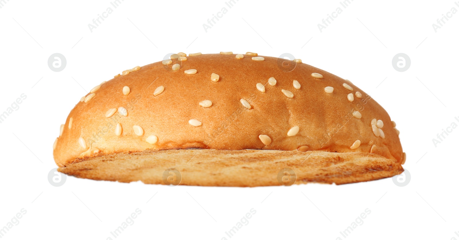 Photo of Half of grilled burger bun isolated on white