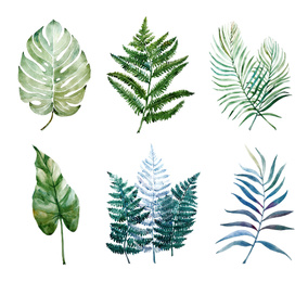 Image of Beautiful watercolor tropical leaves painted on white paper