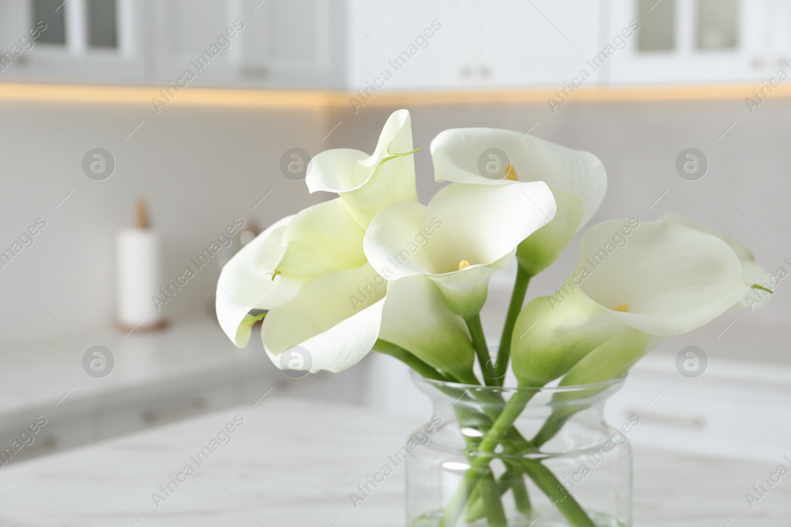 Photo of Glass vase with beautiful calla lily flowers in kitchen, closeup