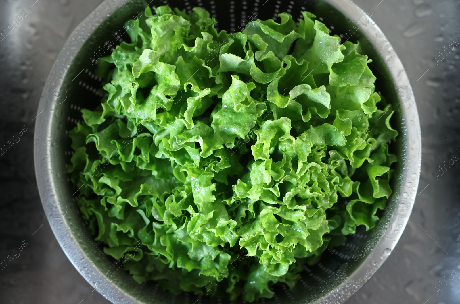 Photo of Colander with fresh wet lettuce in sink, top view