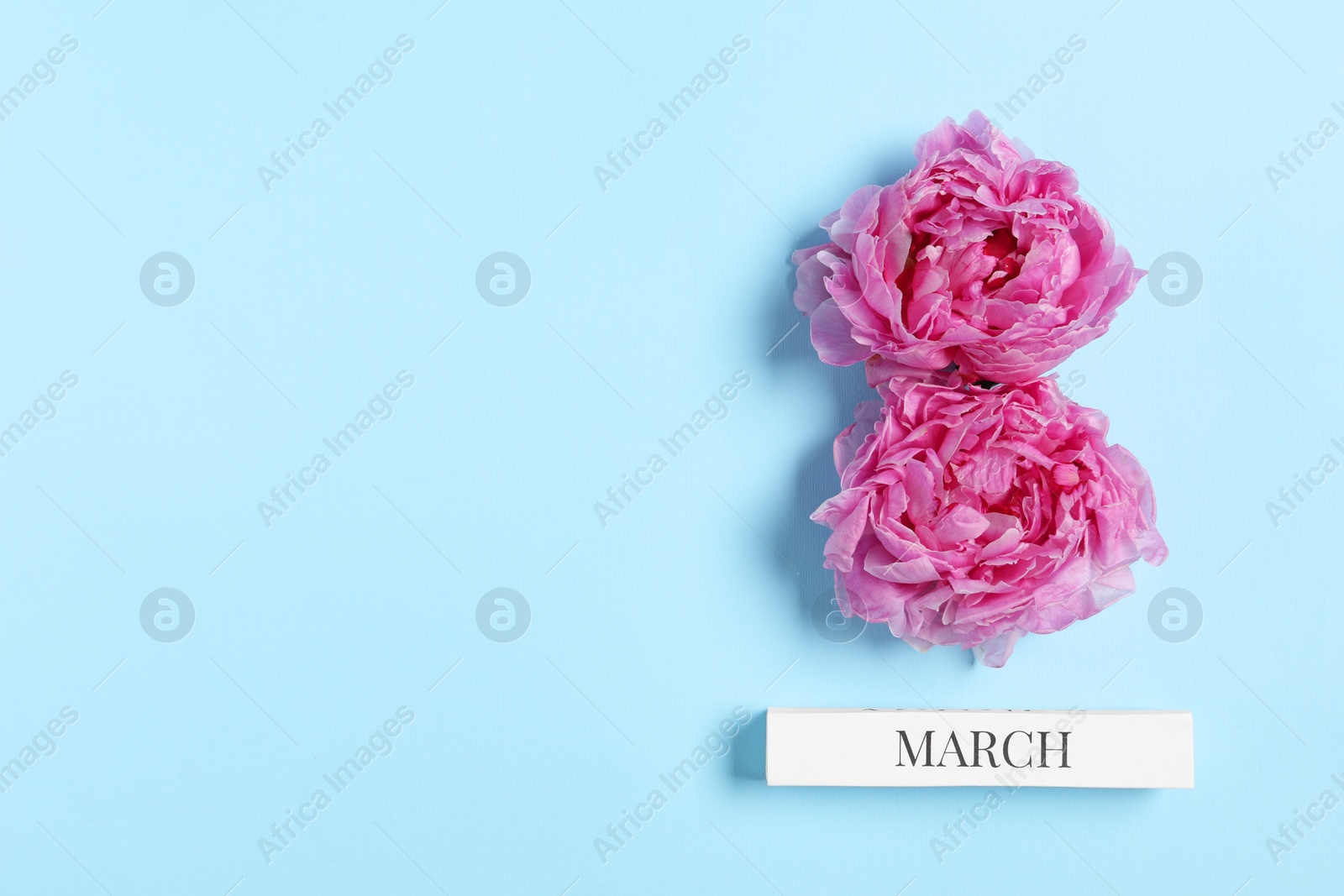 Photo of International Women's day. 8th of March made with beautiful peonies on light blue background, top view. Space for text