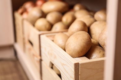 Photo of Crates with potatoes on shelf, closeup. Orderly storage