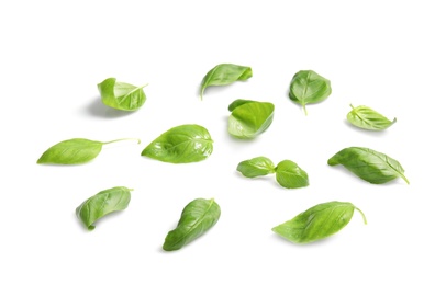 Basil leaves as layer for pizza isolated on white