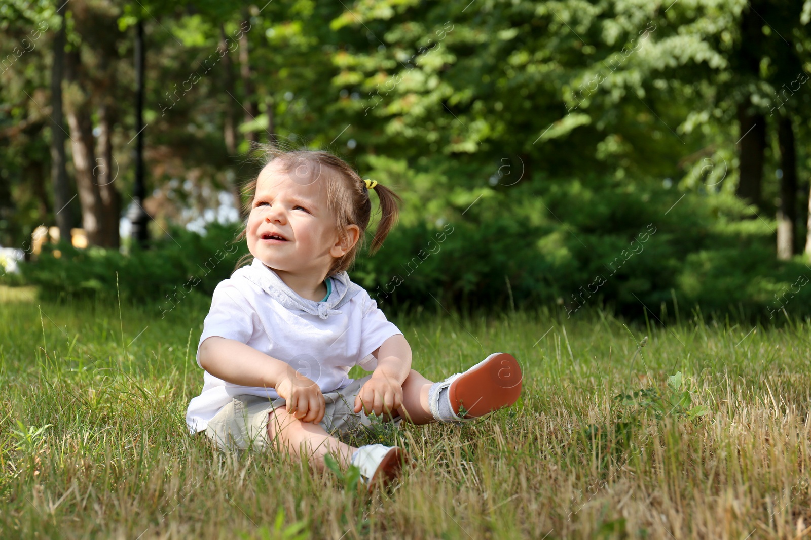 Photo of Cute girl sitting on grass in park, space for text